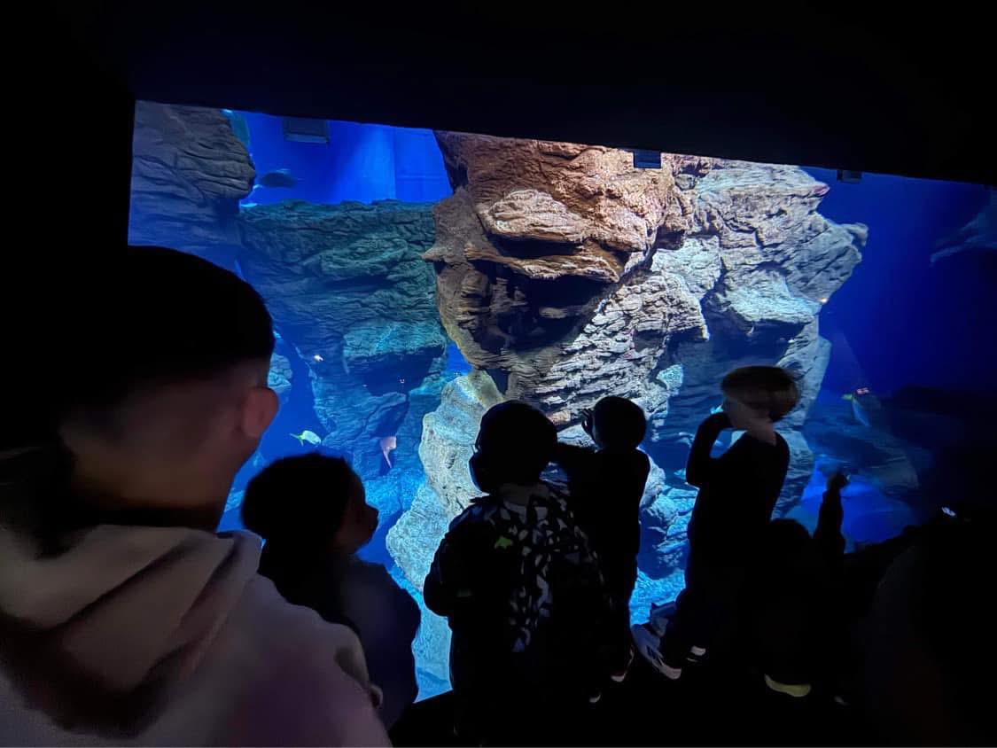 Accueil des enfants au centre